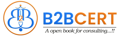 B2Bcert Logo