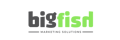 Bigfish Marketing Solutions Logo