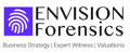 Envision Forensic Accounting Logo