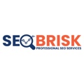 SEO BRISK Logo