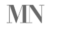 MN Capital Strategies Logo
