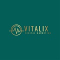 www.vitalixdigital.ca Logo