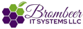 Brombeer IT systems Logo