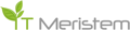 IT Meristem Logo