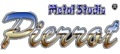 Pierrot Metal Studio Logo