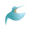 Chas Studios Logo
