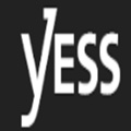 YESS International Consultants Logo