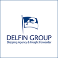 Delfin Group Logo