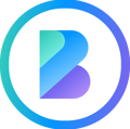 BigBrainyinfotech Logo