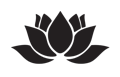 Thrive Digital Solutions Logo
