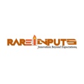 RareInputs - An innovative digital agency! Logo