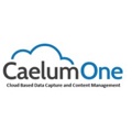 CaelumOne Solutions Corporation Logo