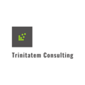 Trinitatem Consulting Logo