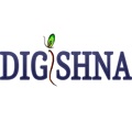 Digishna - Digital Marketing & Web Development Company Logo