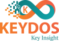 KKEYDOS INFO TECH PVT LTD Logo
