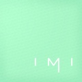IMI Agency Logo