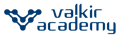 Valkir Academy Logo