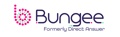 Bungee (formerly Direct Answer) Logo