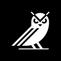 BitHoot Logo
