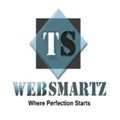 T S Web Smartz Logo