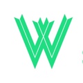 Webside Solutions Logo