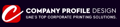 Company Profile Design Logo