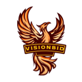 Visionbid Logo