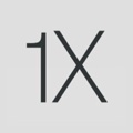 1X Logo