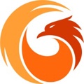 PhoenixTeam Logo