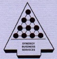 SYNERGY BUSINESS SERVICES Logo