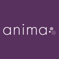 Anima Strategic Consulting Logo
