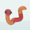 Docile Worm Studio Logo