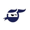 Virtual Ninja Logo