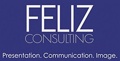 FELIZ Consulting Company Logo