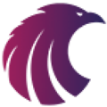 The Social Eagle Logo