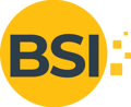 Business Software India Logo