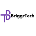 Briggr Technologies LTD Logo