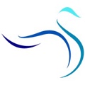Blue Swan Strategies Logo