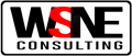 WSNE Consulting Logo