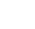 Biz Vital Signs Logo