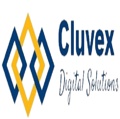 Cluvex Digital Solutions Logo