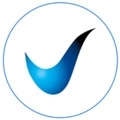 Validis Logo