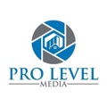 Pro Level Media, LLC Logo