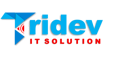 Tridev IT Solution Pvt. Ltd. Logo