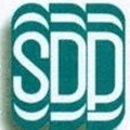 SDP Informatica Logo