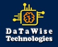 DaTaWise Technologies Logo