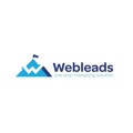 Web Leads Digital Agency Logo