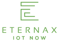 Eternax Logo
