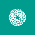 Acorn Logo