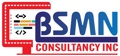 Bsmnconsultancy Logo